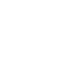 Canvas Buddy logo